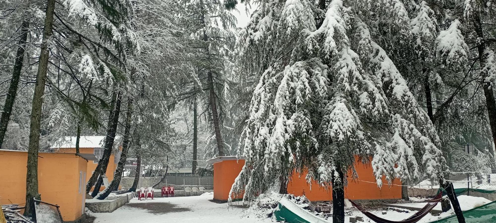 Pandora Riverside Cafe & Stay Kasol Buitenkant foto